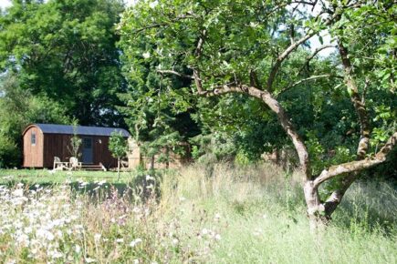 Shepherd's Hut