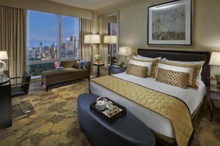 Premier Central Park View Room