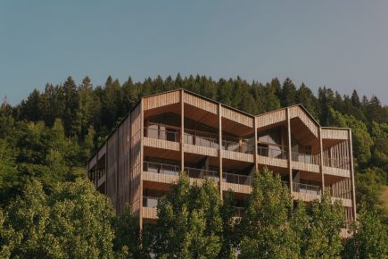 Review - Engel Ayurpura: An Alpine Temple to Ayurveda