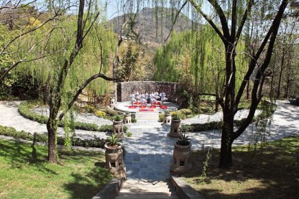 NEW Group Yoga Retreats Introduced at Ananda