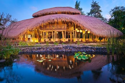 Review - We Check in to Fivelements Retreat Bali, Indonesia