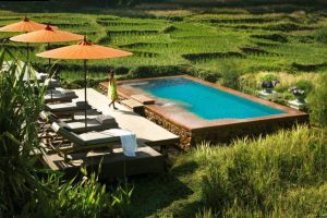 Four Seasons Chang Mai Launches 'Glorious Green Season' Wellness Packages