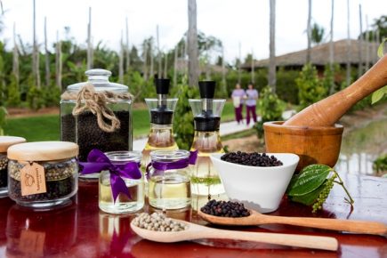 Homegrown Healing - Luxury Spas Across Asia Source Local Ingredients for Holistic Treatments
