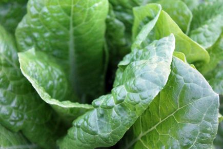 Immune Boosting Juices to Help You Through Winter
