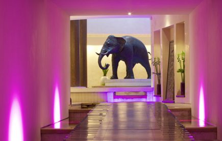 The Five Star Spa at Seaham Hall Launches Cancer Touch Therapy