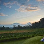 Private Jet Wellness Journeys - Aman Steps up to Meet the Demand for Uber-Luxe Wellness