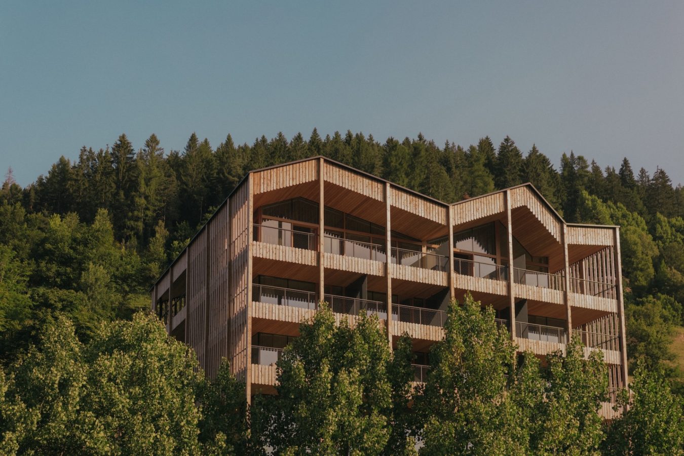 Review - Engel Ayurpura: An Alpine Temple to Ayurveda