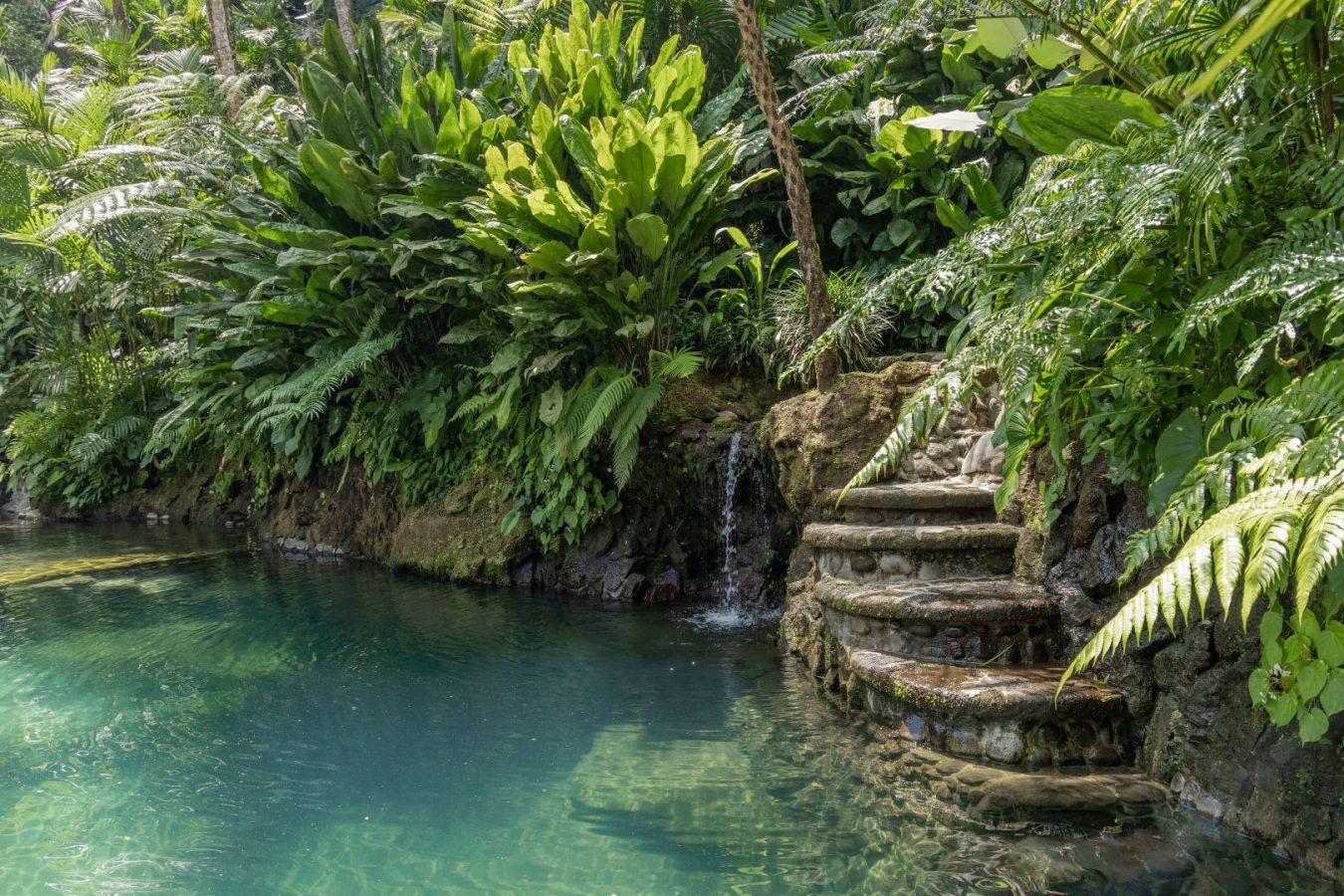 Review - We Check in to Como Shambhala Estate, Ubud, Bali