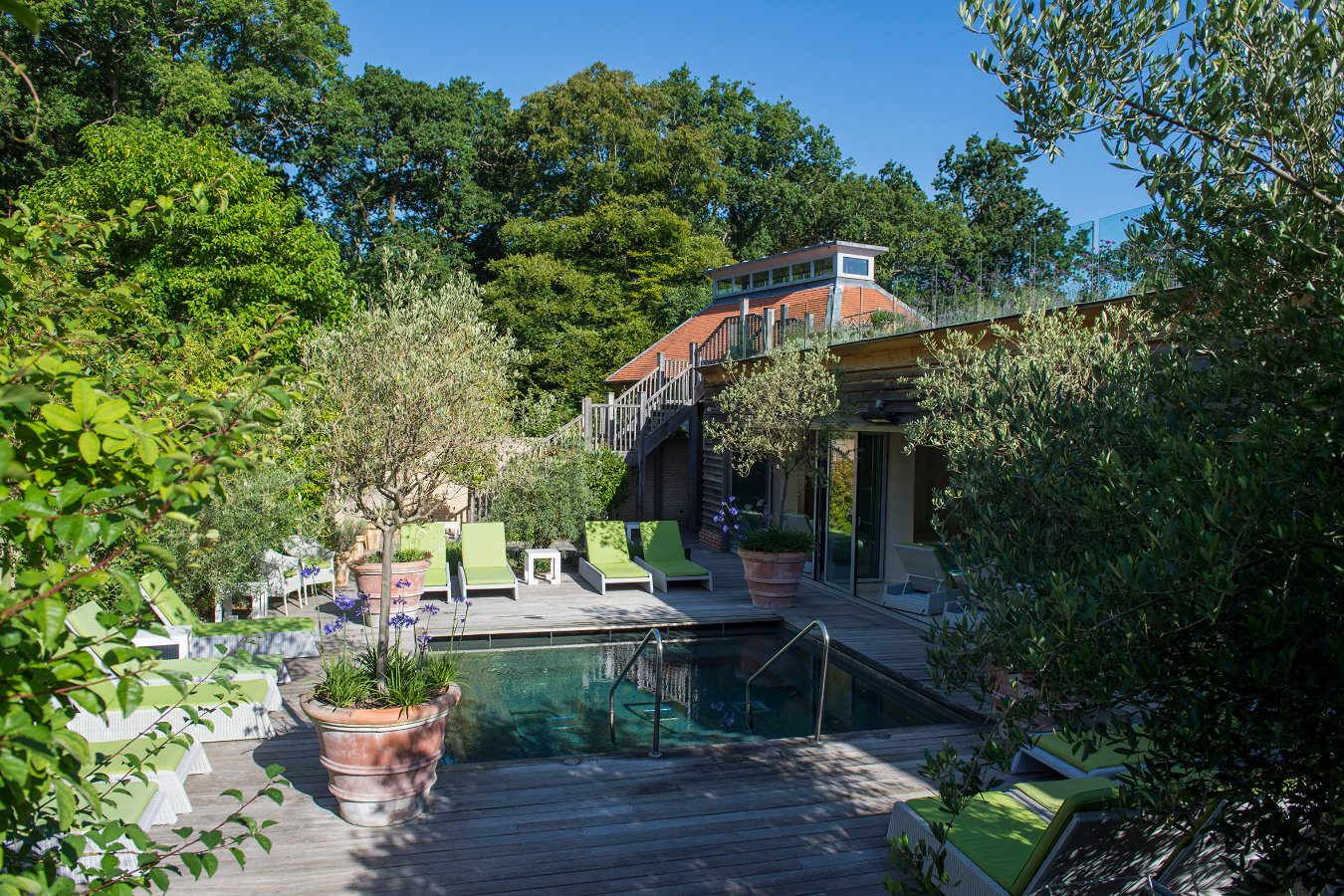 Lime Wood, Hampshire