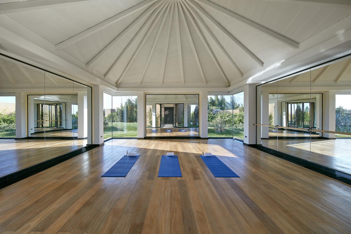 The Detox Programme