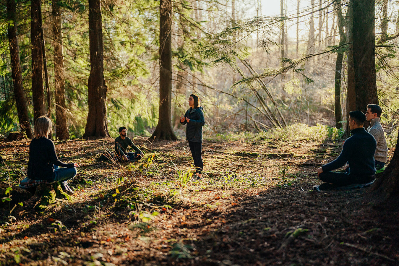 Review - Forest Bathing at South Lodge, West Sussex