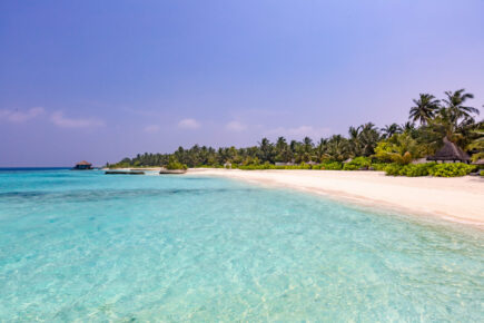 OZEN RESERVE BOLIFUSHI