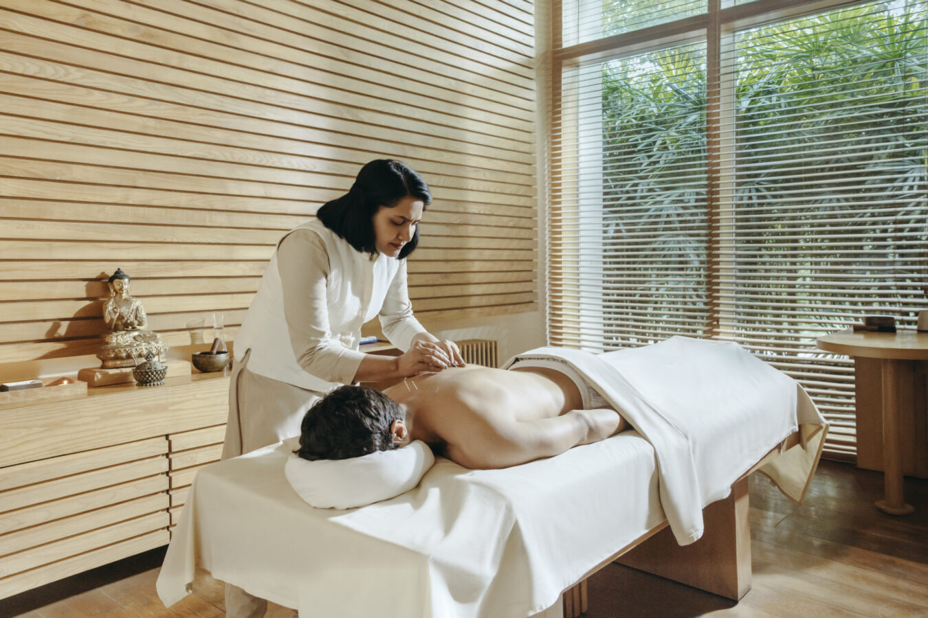 Wellness Acupuncture 10024 Original