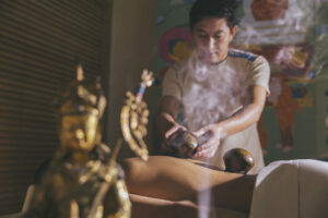 Wellness Sowa Rigpa 2 10032 Original