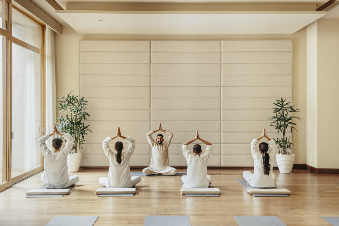Wellness Yogasala 2 10040 Original