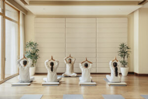 Wellness Yogasala 2 10040 Original