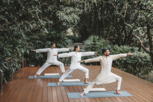 Wellness Yogasala Deck 10041 Original